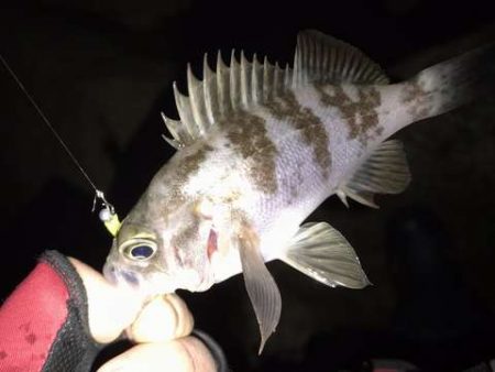 なんとかつ抜け