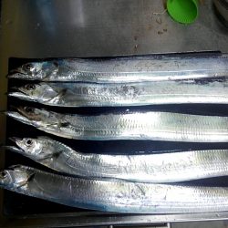 お隣さんは釣れてますけど！！