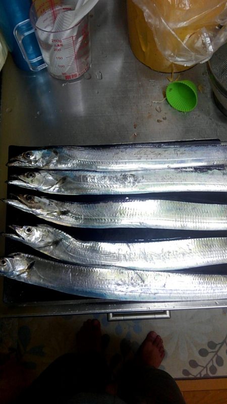 お隣さんは釣れてますけど！！