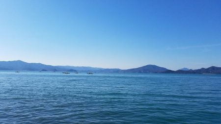 まだ居ました。