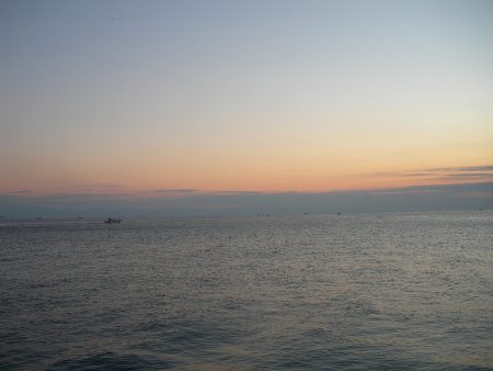 ショアジギングのジグに良型アオリイカがヒット