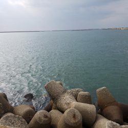 穴釣り　～初めてサバの切り身を使う～