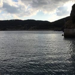 でたよ キロアップ！