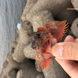 小春日和の穴釣り