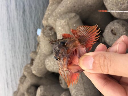 小春日和の穴釣り