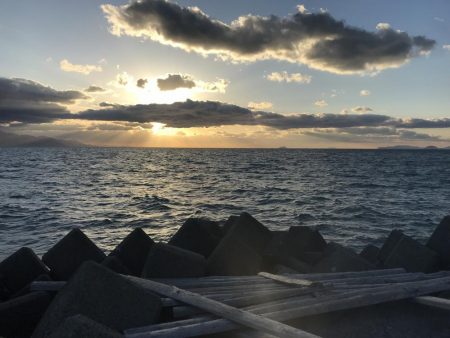 ワームで穴釣り