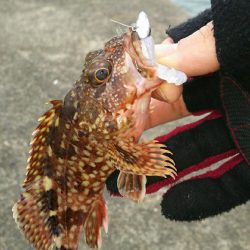 デイロックゲーム