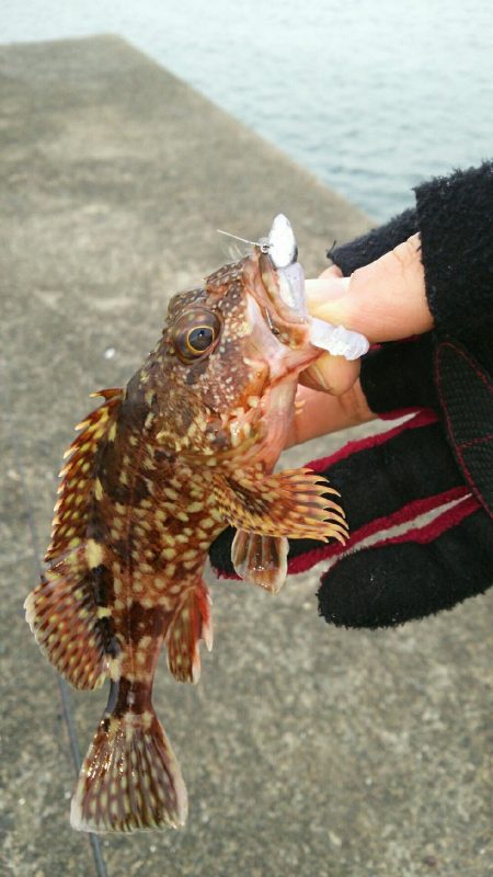 デイロックゲーム