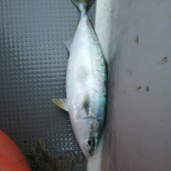 釣り納め