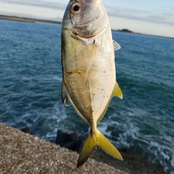 メッキことエバ釣り