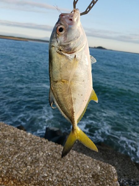 メッキことエバ釣り