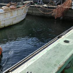 明石名田屋の飲ませ釣り