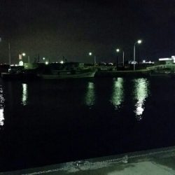 寒さ、風に負けず