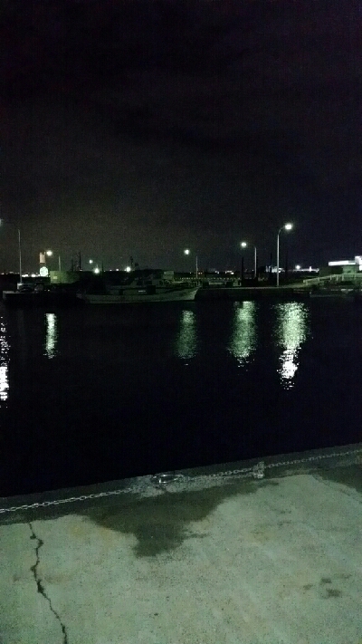 寒さ、風に負けず