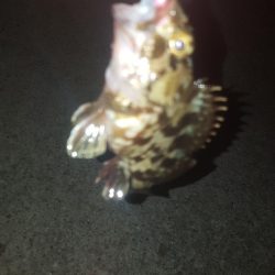 せいご　タケノコめばる