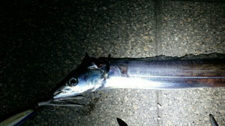 爆風と極寒でも釣れるタチウオ