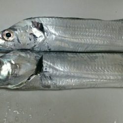 アタリはそこそこ、渋い中なんとか……