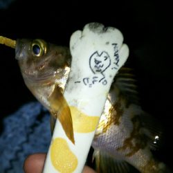 おしゃべりついでにライトゲーム