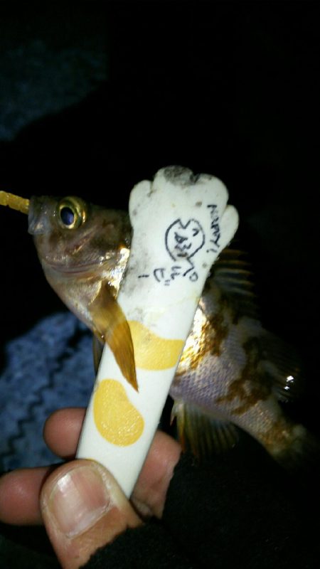 おしゃべりついでにライトゲーム