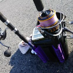 青物全く(´～｀)