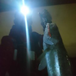 まだいました♪(* ̄∇ ̄)ノ