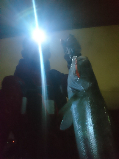 まだいました♪(*￣∇￣)ノ