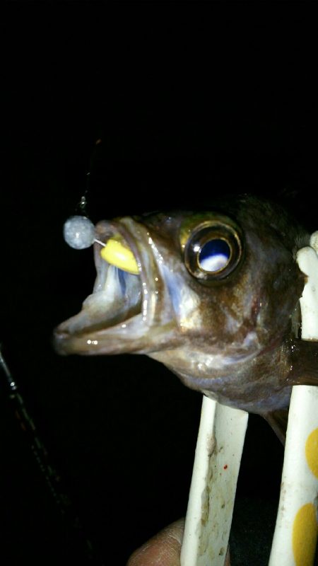 洲本から北上しながらランガン