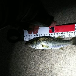 予報以上の爆風…