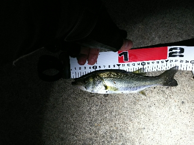 予報以上の爆風…