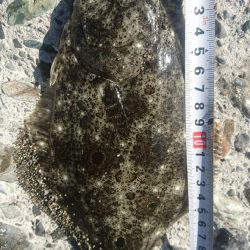 春野漁港周辺サーフ ショアジギング ヒラメ