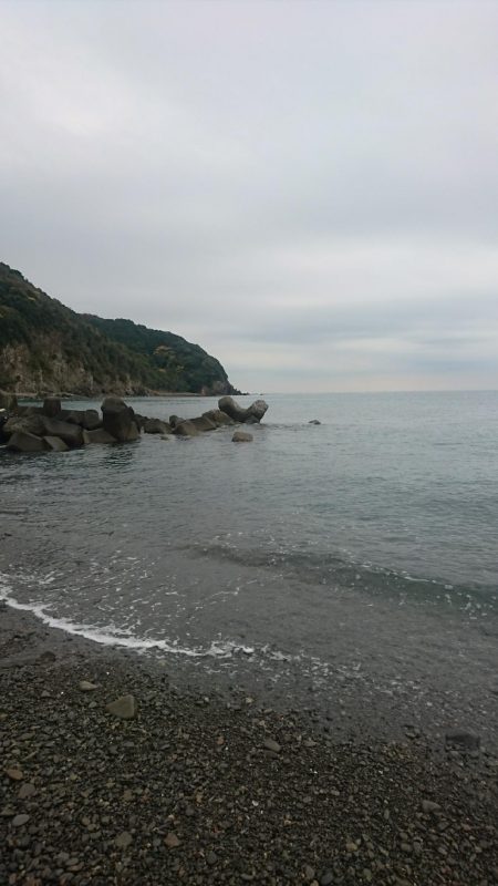 矢井賀サーフ ショアジギング