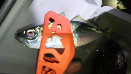 今日もツいてる~