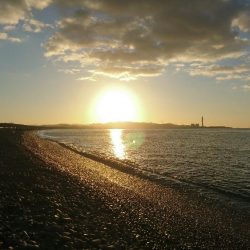 ショアジギ納め