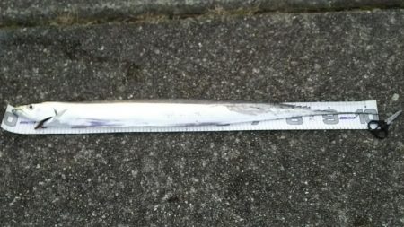 朝練 最大級と最小サイズ