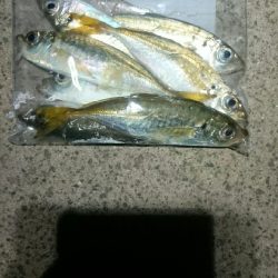 少なくなってきた。