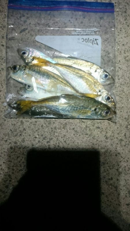 少なくなってきた。