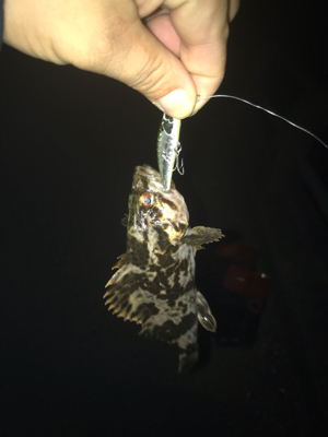 チーバスやってたらでっかいの来た