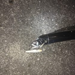 ナイトゲーム　タチウオ