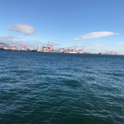 風を味方にして