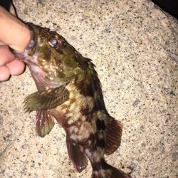 爆風ライトゲーム