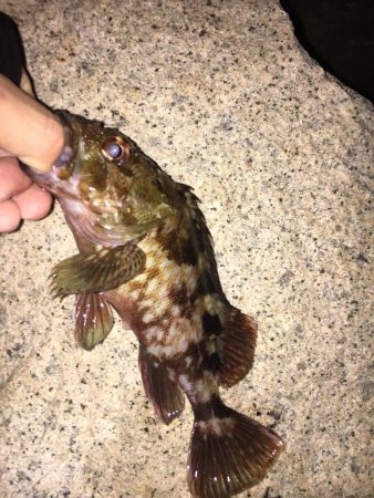 爆風ライトゲーム