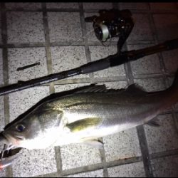 ミニエントのレンジ♪