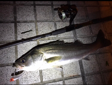 ミニエントのレンジ♪