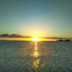 阿南市の那賀川河口でタチウオ