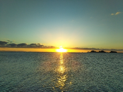 阿南市の那賀川河口でタチウオ