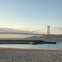 サヨリパターン