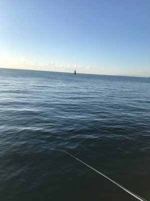 4日振りの平磯(^^)