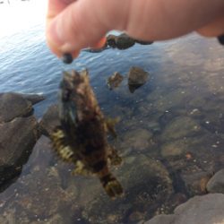 寒さに耐えたけど