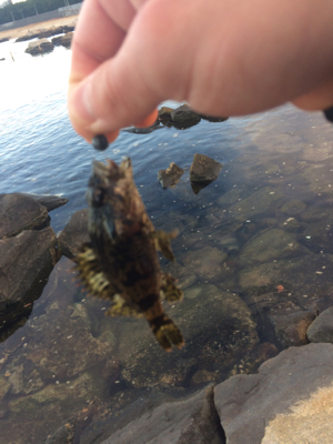 寒さに耐えたけど