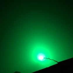 タチウオと！？